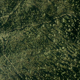 Satellite imagery of Elferkogel, AT