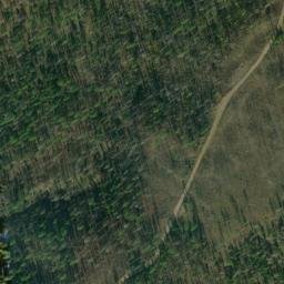 Satellite imagery of Rice Ridge, US