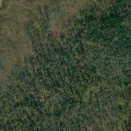 Satellite imagery of Rice Ridge, US