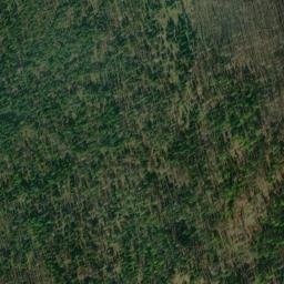 Satellite imagery of Rice Ridge, US