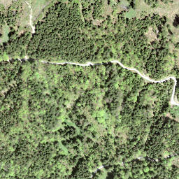 Satellite imagery of Regelstein, CH