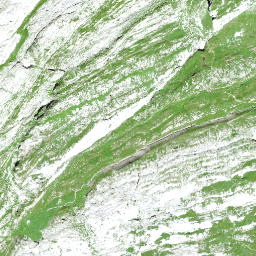 Satellite imagery of Grenzchopf, CH