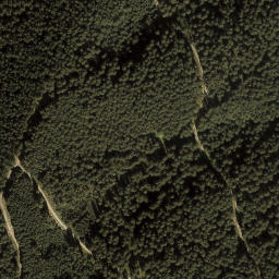 Satellite imagery of Muttkopf, AT