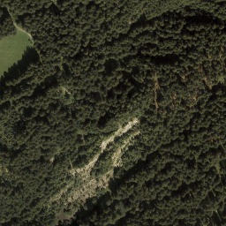 Satellite imagery of Muttkopf, AT