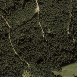 Satellite imagery of Muttkopf, AT