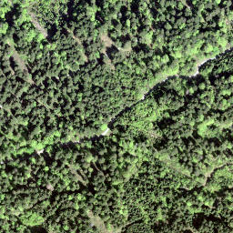 Satellite imagery of Wielesch, CH