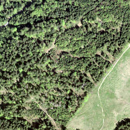 Satellite imagery of Wielesch, CH