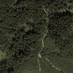 Satellite imagery of Muttkopf, AT