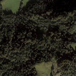 Satellite imagery of Wandfluh, AT