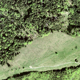 Satellite imagery of Wielesch, CH