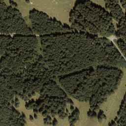 Satellite imagery of Sendeturm Dünserberg, AT