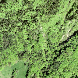 Satellite imagery of Wielesch, CH
