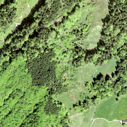 Satellite imagery of Wielesch, CH