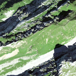 Satellite imagery of Wildhuser Schofberg, CH
