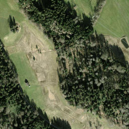 Satellite imagery of Hirzel, CH