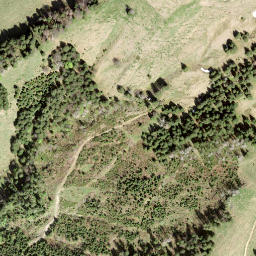 Satellite imagery of Tanzboden, CH