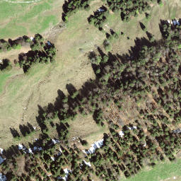 Satellite imagery of Tanzboden, CH