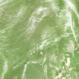 Satellite imagery of Wildhuser Schofberg, CH