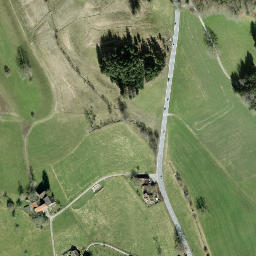 Satellite imagery of Hirzel, CH