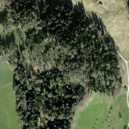 Satellite imagery of Hirzel, CH