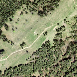 Satellite imagery of Tanzboden, CH