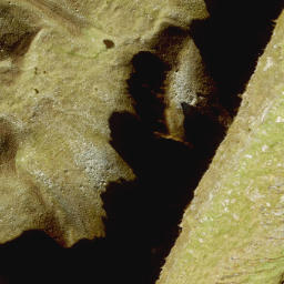Satellite imagery of Pembachkogel, AT