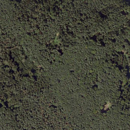 Satellite imagery of survey_point, AT