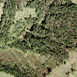 Satellite imagery of Tanzboden, CH