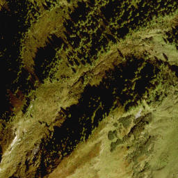 Satellite imagery of Kühkarl, AT