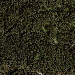 Satellite imagery of Dürnberg, AT