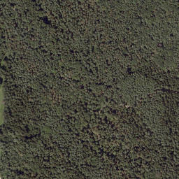 Satellite imagery of survey_point, AT