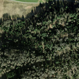 Satellite imagery of Hundsruggen, CH