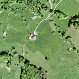 Satellite imagery of Altwisstock, CH