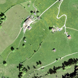 Satellite imagery of Altwisstock, CH