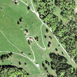 Satellite imagery of Altwisstock, CH