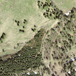 Satellite imagery of Schorhüttenberg, CH