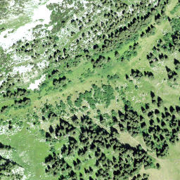 Satellite imagery of Wänneli, CH