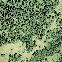 Satellite imagery of Hornwald, CH