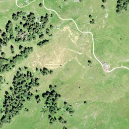 Satellite imagery of Hornwald, CH