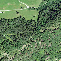 Satellite imagery of Chüebodenberg, CH