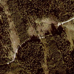 Satellite imagery of Arbiskogel, AT