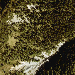 Satellite imagery of Farnbühel, AT