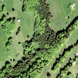 Satellite imagery of Altwisstock, CH