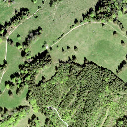 Satellite imagery of Altwisstock, CH