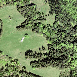 Satellite imagery of Altwisstock, CH