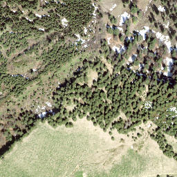 Satellite imagery of Schorhüttenberg, CH