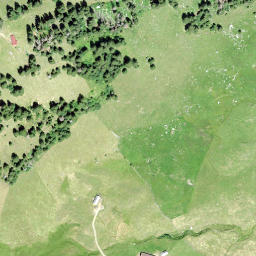 Satellite imagery of Hornwald, CH