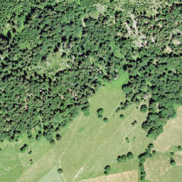 Satellite imagery of Chüebodenberg, CH