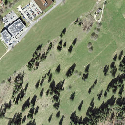 Satellite imagery of Petit Crêt, CH