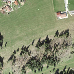 Satellite imagery of Petit Crêt, CH